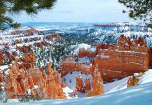 Best National Parks to Visit in the Winter