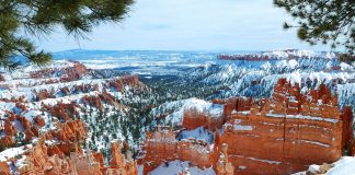 Best National Parks to Visit in the Winter