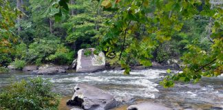 Discover the Small Town of Mineral Bluff
