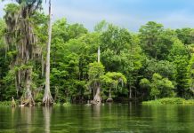 Florida’s Big Bend Road Trip