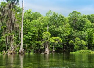 Florida’s Big Bend Road Trip