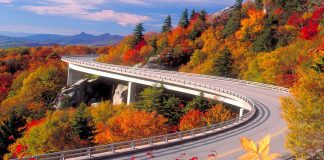 5 Reasons to Drive The Blue Ridge Parkway