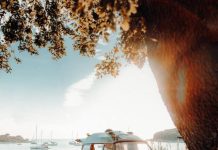 Your Van Life Travel Guide – Tips To Live And Work While On The Road